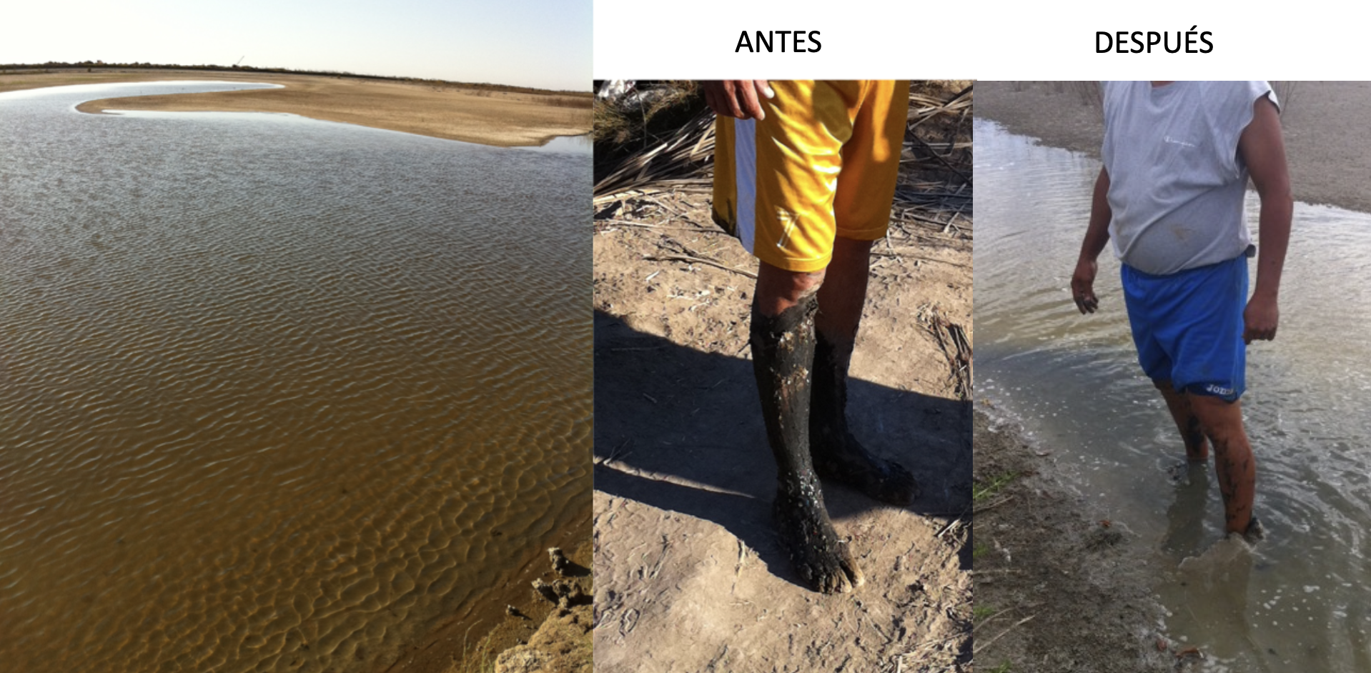 Tratamiento de fondos y columna de agua en estanquería