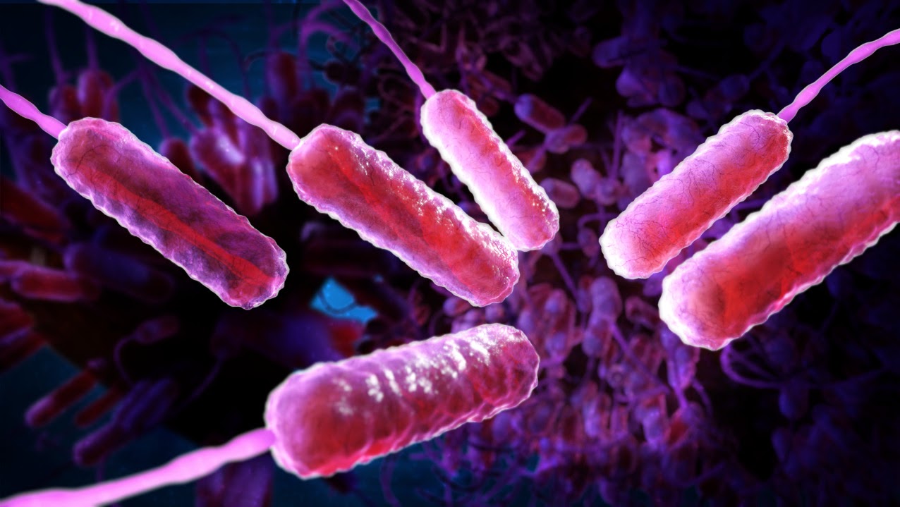Tecnología Deep Sea Genomic